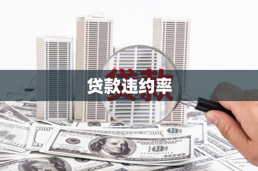 花莲贷款违约率