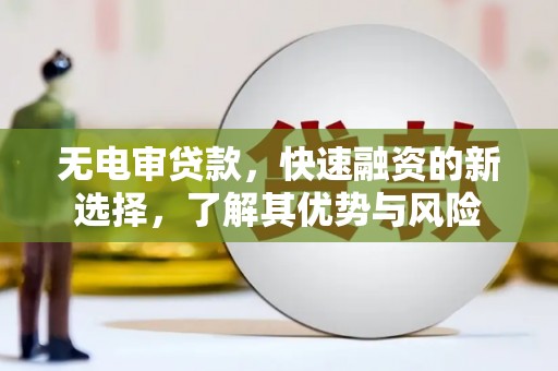 花莲无电审贷款，快速融资的新选择，了解其优势与风险