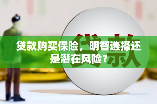 花莲贷款购买保险，明智选择还是潜在风险？