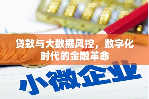 花莲贷款与大数据风控，数字化时代的金融革命
