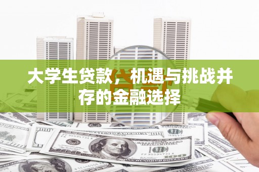 花莲大学生贷款，机遇与挑战并存的金融选择