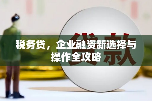 花莲税务贷，企业融资新选择与操作全攻略