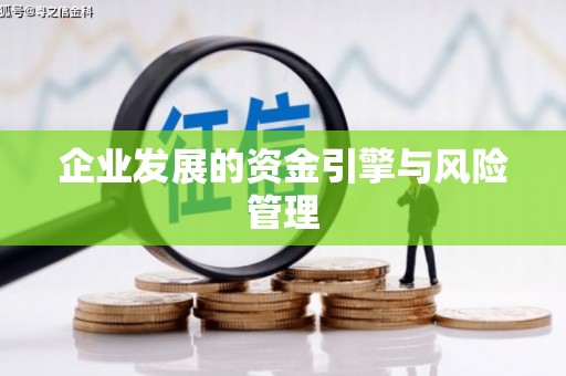 花莲企业发展的资金引擎与风险管理