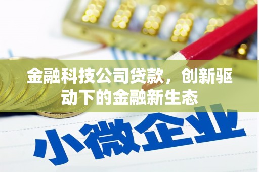 花莲金融科技公司贷款，创新驱动下的金融新生态
