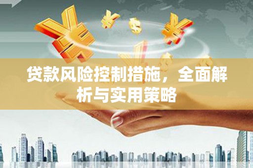花莲贷款风险控制措施，全面解析与实用策略