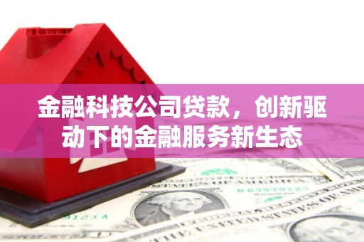 花莲金融科技公司贷款，创新驱动下的金融服务新生态