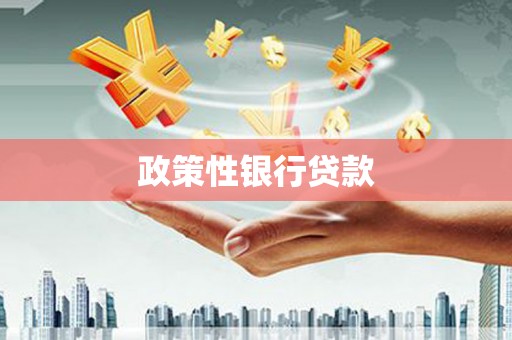 花莲政策性银行贷款