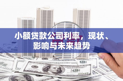 花莲小额贷款公司利率，现状、影响与未来趋势