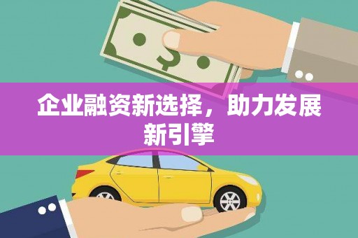 花莲企业融资新选择，助力发展新引擎