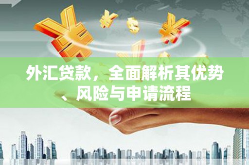 花莲外汇贷款，全面解析其优势、风险与申请流程