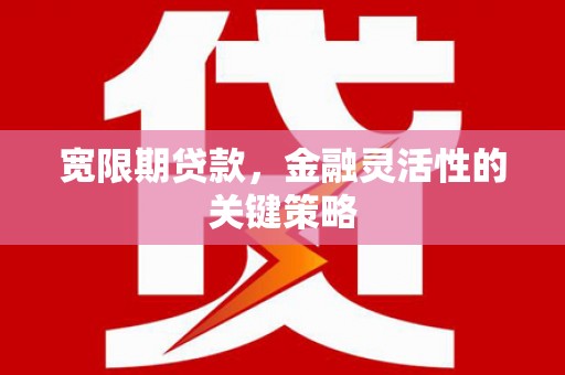 花莲宽限期贷款，金融灵活性的关键策略