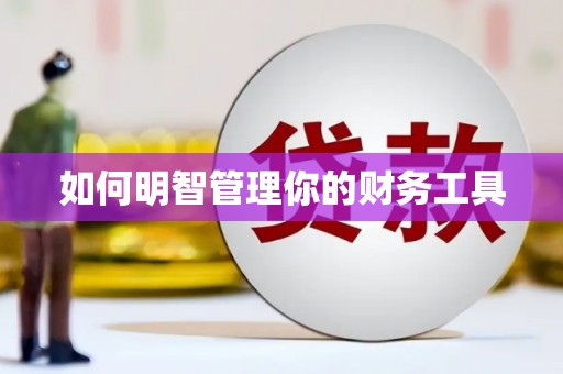 花莲如何明智管理你的财务工具