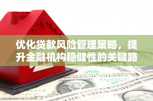 花莲优化贷款风险管理策略，提升金融机构稳健性的关键路径