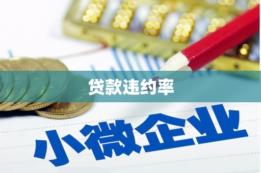 花莲贷款违约率