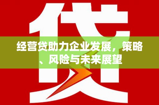 花莲经营贷助力企业发展，策略、风险与未来展望