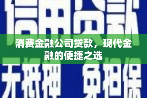 花莲消费金融公司贷款，现代金融的便捷之选
