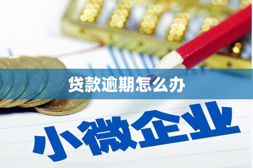 花莲贷款逾期怎么办