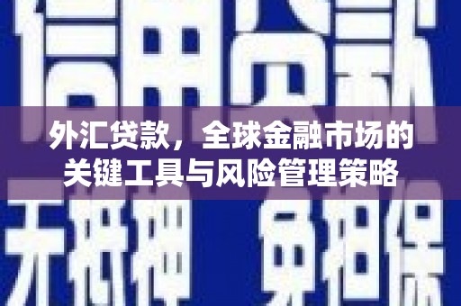 花莲外汇贷款，全球金融市场的关键工具与风险管理策略