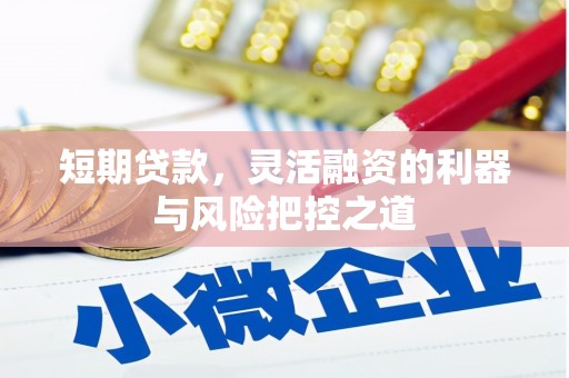 花莲短期贷款，灵活融资的利器与风险把控之道