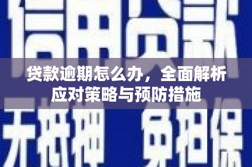 花莲贷款逾期怎么办，全面解析应对策略与预防措施