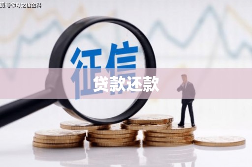 花莲贷款还款