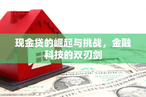 花莲现金贷的崛起与挑战，金融科技的双刃剑