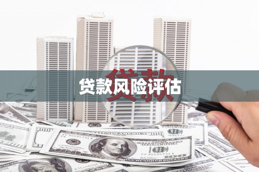 花莲贷款风险评估