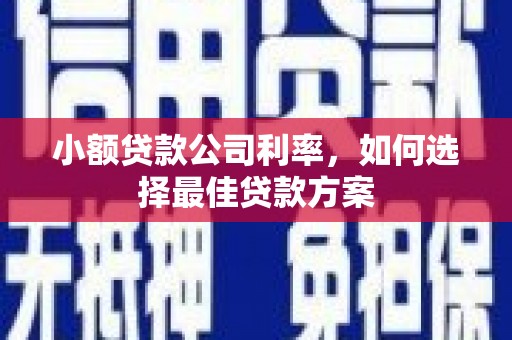 花莲小额贷款公司利率，如何选择最佳贷款方案