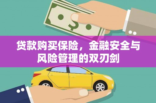 花莲贷款购买保险，金融安全与风险管理的双刃剑