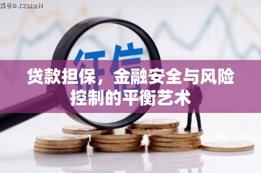 花莲贷款担保，金融安全与风险控制的平衡艺术