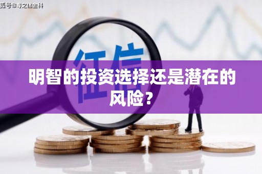 花莲明智的投资选择还是潜在的风险？
