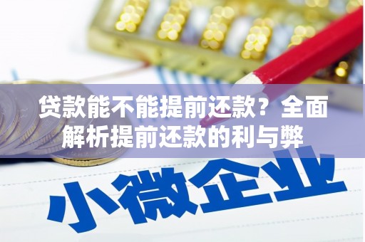 花莲贷款能不能提前还款？全面解析提前还款的利与弊