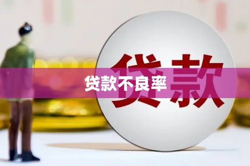 花莲贷款不良率