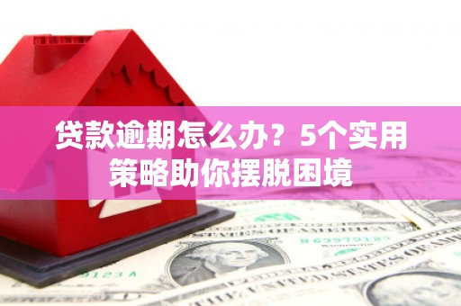 花莲贷款逾期怎么办？5个实用策略助你摆脱困境