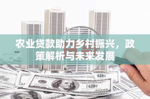 花莲农业贷款助力乡村振兴，政策解析与未来发展