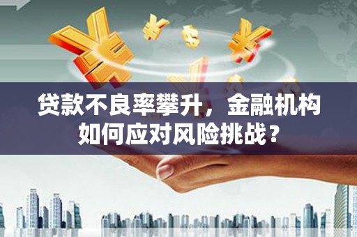 花莲贷款不良率攀升，金融机构如何应对风险挑战？