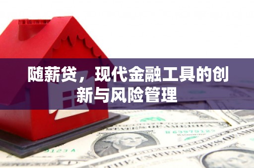 花莲随薪贷，现代金融工具的创新与风险管理