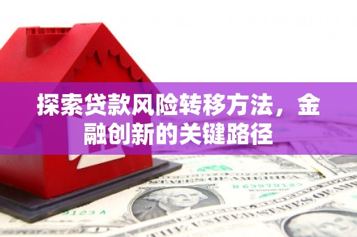 花莲探索贷款风险转移方法，金融创新的关键路径