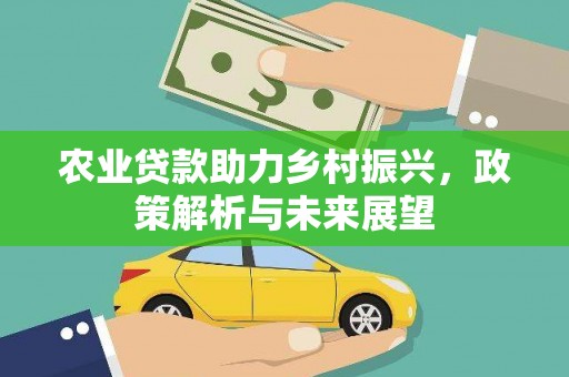 花莲农业贷款助力乡村振兴，政策解析与未来展望