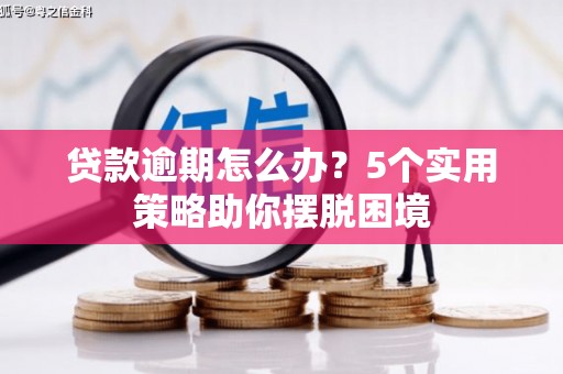 花莲贷款逾期怎么办？5个实用策略助你摆脱困境