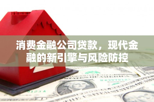 花莲消费金融公司贷款，现代金融的新引擎与风险防控