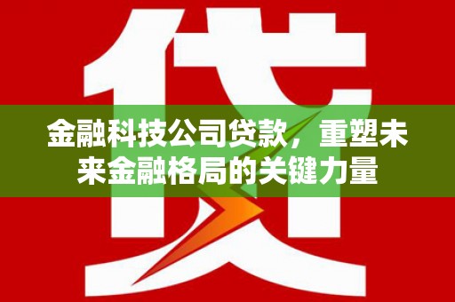 花莲金融科技公司贷款，重塑未来金融格局的关键力量