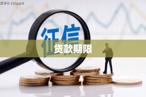 花莲贷款期限