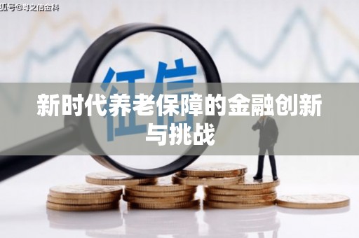 花莲新时代养老保障的金融创新与挑战