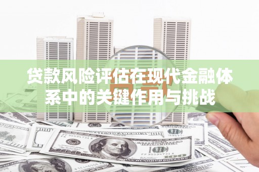 花莲贷款风险评估在现代金融体系中的关键作用与挑战