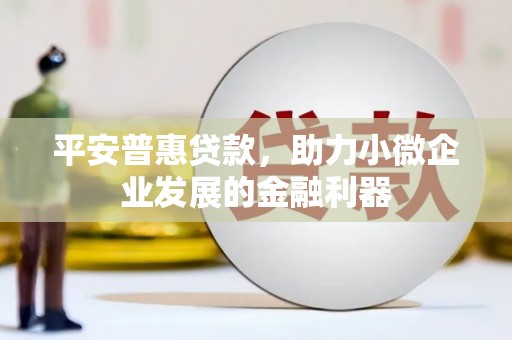 花莲平安普惠贷款，助力小微企业发展的金融利器