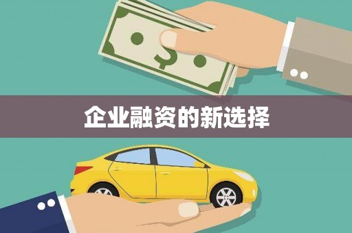 花莲企业融资的新选择