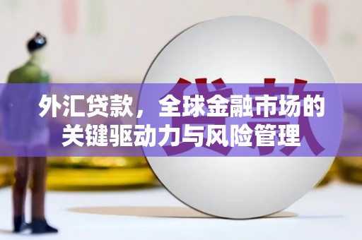 花莲外汇贷款，全球金融市场的关键驱动力与风险管理