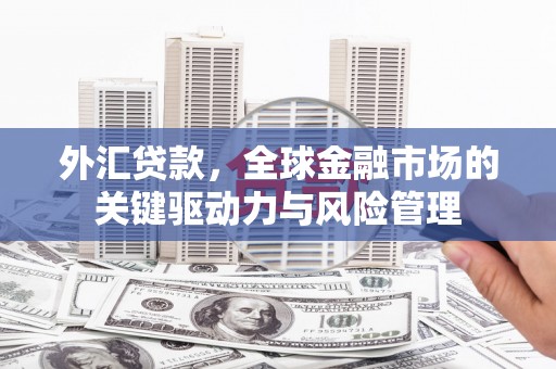 花莲外汇贷款，全球金融市场的关键驱动力与风险管理