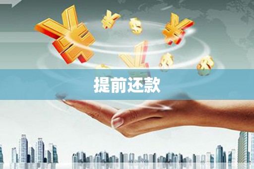 花莲提前还款